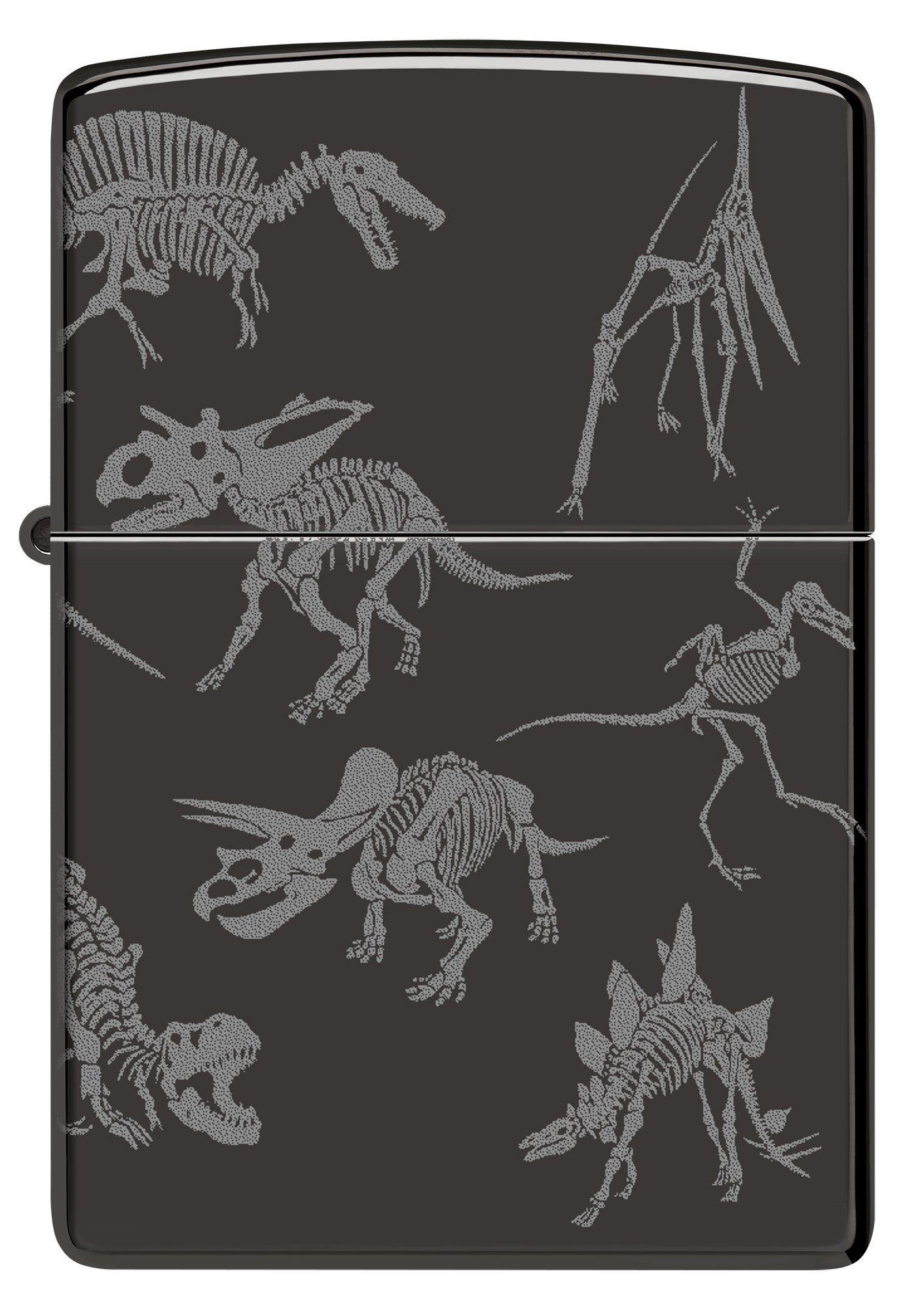 Dinosaur Skeletons Design