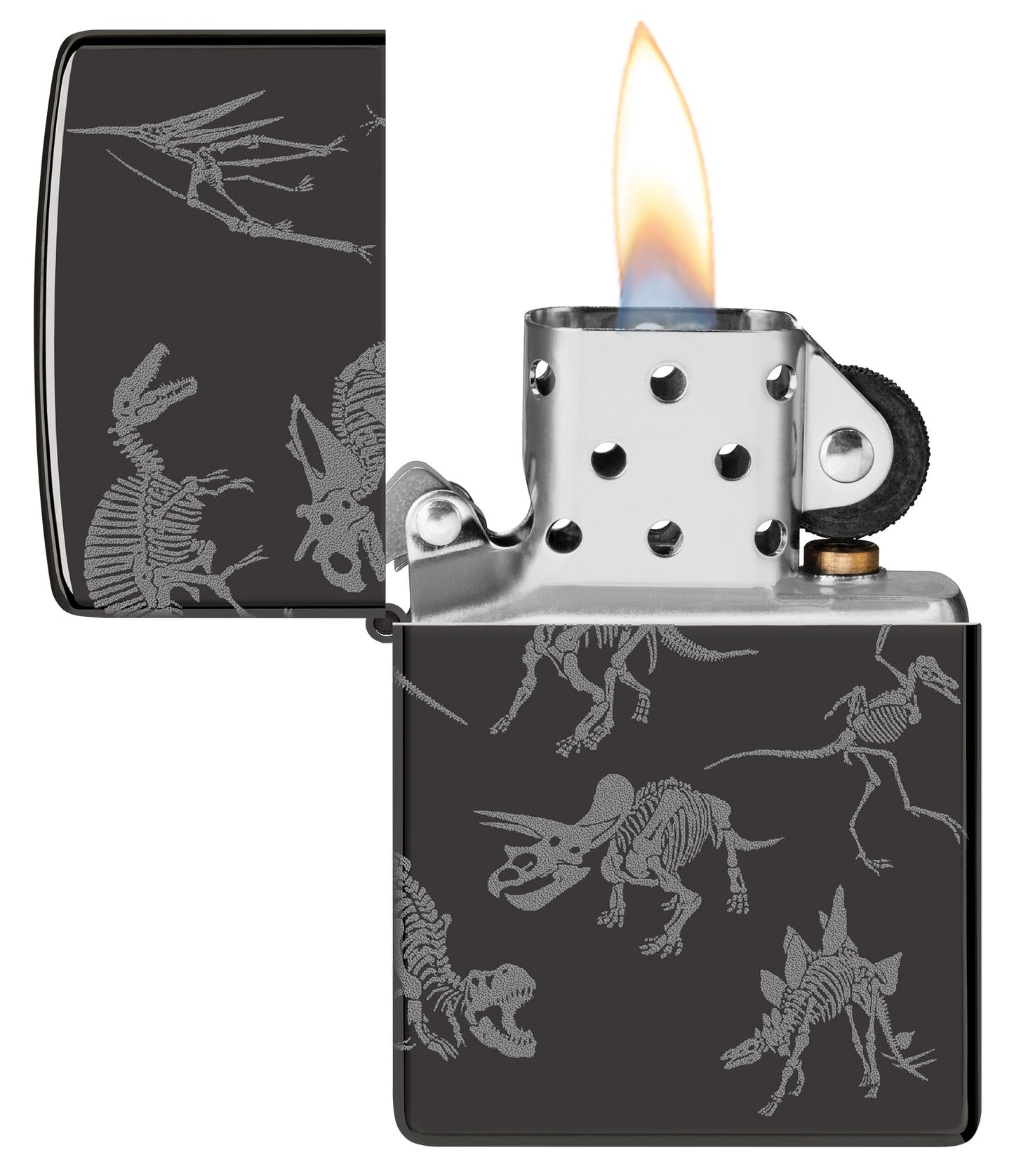 Dinosaur Skeletons Design