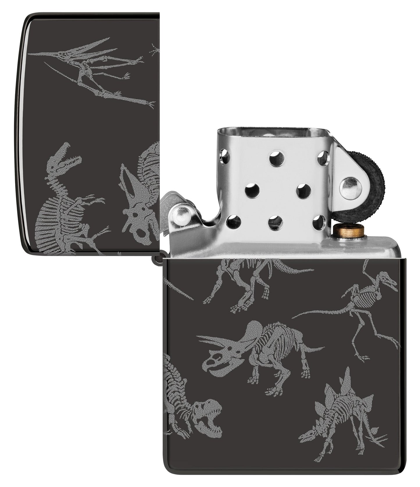 Dinosaur Skeletons Design