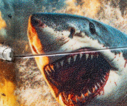 Design ‘Shark Bite’