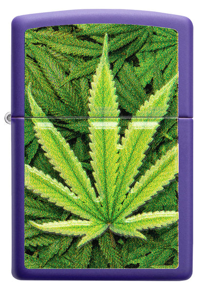 Zippo Feuerzeug Frontansicht lila matt mit Abbildung von Cannabis Pflanzen